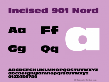 Incised 901 Nord Version 003.001图片样张