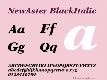 NewAster BlackItalic Version 001.000图片样张