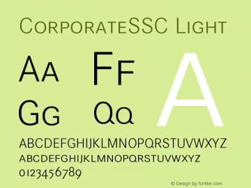 CorporateSSC Light Version 001.004图片样张