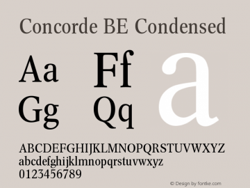 Concorde BE Condensed Version 001.000图片样张