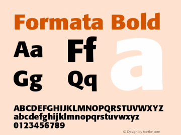 Formata Bold Version 001.001 Font Sample