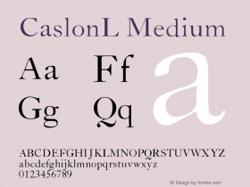 CaslonL Medium Version 001.001 Font Sample