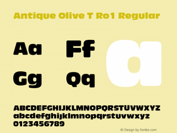 Antique Olive T Ro1 Regular Version 001.005 Font Sample