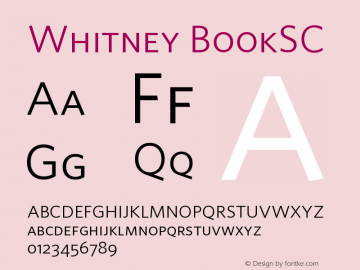 Whitney BookSC Version 001.000图片样张