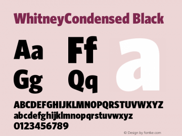 WhitneyCondensed Black Version 001.000图片样张
