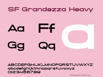 SF Grandezza Heavy v1.0 - Freeware图片样张