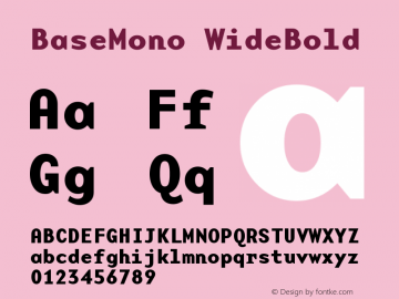 BaseMono WideBold Version 001.000 Font Sample
