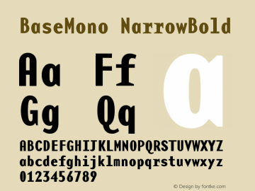 BaseMono NarrowBold Version 001.000 Font Sample