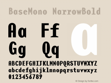 BaseMono NarrowBold Version 001.000 Font Sample