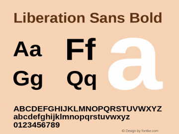 Liberation Sans Bold Version 1.07.4 Font Sample