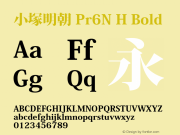 小塚明朝 Pr6N H Bold Version 6.014;PS 6.002;hotconv 1.0.67;makeotf.lib2.5.33168图片样张