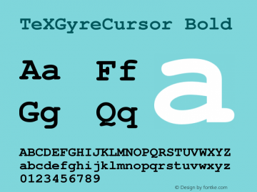 TeXGyreCursor Bold Version 1.103;PS 1.103;hotconv 1.0.49;makeotf.lib2.0.14853 Font Sample