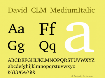 David CLM MediumItalic Version 0.103 Font Sample