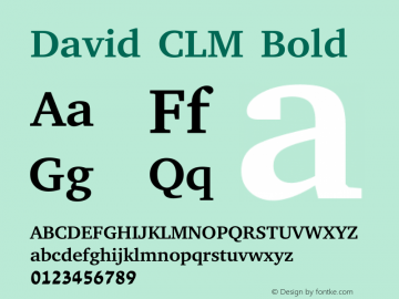 David CLM Bold Version 0.120 Font Sample