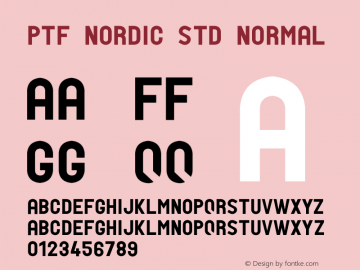 PTF NORDIC Std Normal Version 1.1图片样张