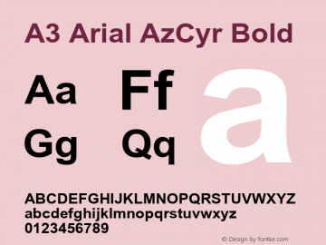 A3 Arial AzCyr Bold Unknown Font Sample