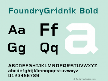 FoundryGridnik Bold 001.000 Font Sample