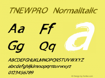 TNEWPRO NormalItalic Macromedia Fontographer 4.1 27/03/2009 Font Sample