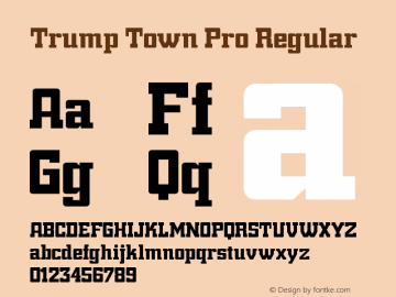 Trump Town Pro Regular Version 11.001 Font Sample