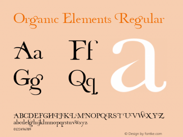 Organic Elements Regular Fontographer 4.7 9/5/07 FG4M­0000002045图片样张