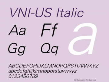 VNI-US Italic 1.0 Thu Feb 09 15:56:36 1995图片样张