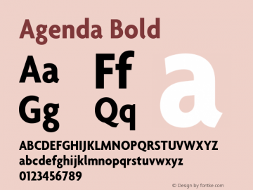 Agenda Bold Version 001.000 Font Sample