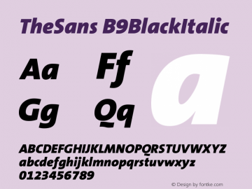 TheSans B9BlackItalic Version 001.000 Font Sample