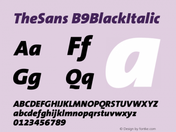 TheSans B9BlackItalic Version 001.000图片样张