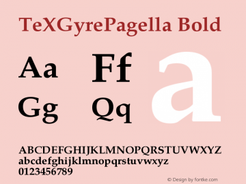 TeXGyrePagella Bold Version 1.103;PS 1.103;hotconv 1.0.49;makeotf.lib2.0.14853 Font Sample
