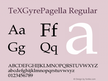 TeXGyrePagella Regular Version 1.103;PS 1.103;hotconv 1.0.49;makeotf.lib2.0.14853 Font Sample