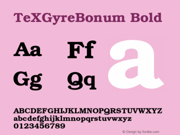 TeXGyreBonum Bold Version 1.001;PS 1.001;hotconv 1.0.49;makeotf.lib2.0.14853 Font Sample