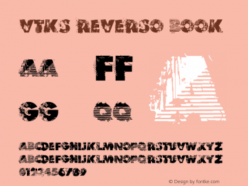 VTKS REVERSO Book Version 1.00 January 27, 201图片样张