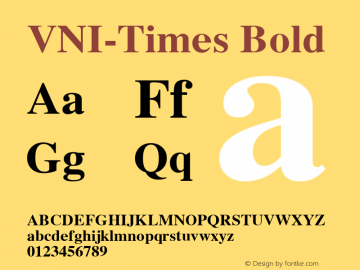 VNI-Times Bold 1.0 Mon Nov 29 13:28:33 1993 Font Sample