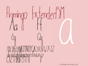 Flamingo ExtendedSM Version 1.0图片样张