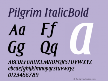 Pilgrim ItalicBold Version 001.000 Font Sample