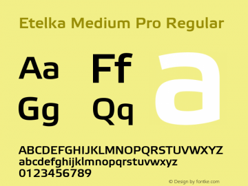 Etelka Medium Pro Regular Version 1.000 2005 initial release图片样张