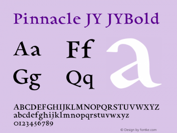 Pinnacle JY JYBold Version 1.200图片样张