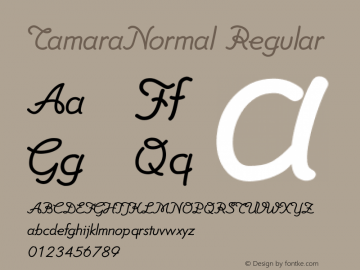 TamaraNormal Regular Unknown Font Sample