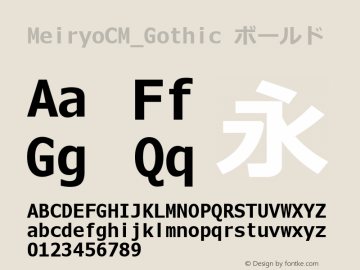 MeiryoCM_Gothic ボールド Version 5.00+ rev1 Font Sample