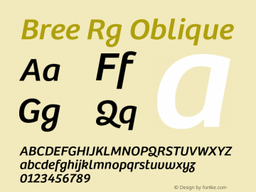 Bree Rg Oblique Version 1.000图片样张