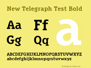 New Telegraph Test Bold Version 002.000 Font Sample