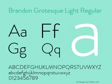 Brandon Grotesque Light Regular Version 001.000 Font Sample