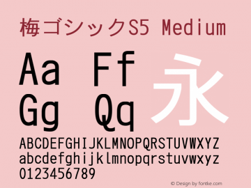 梅ゴシックS5 Medium Look update time of this file. Font Sample