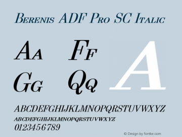 Berenis ADF Pro SC Italic Version 1.004图片样张