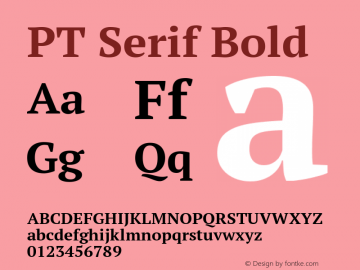 PT Serif Bold Version 1.002W Font Sample
