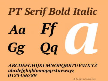 PT Serif Bold Italic Version 1.000图片样张