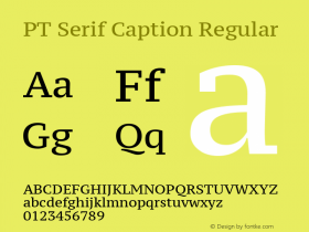 PT Serif Caption Regular Version 1.000图片样张