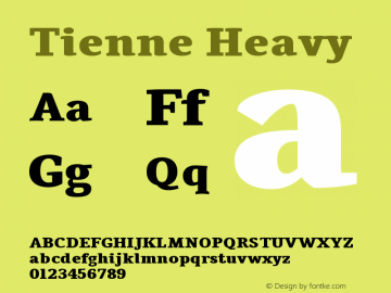 Tienne Heavy Version 001.000图片样张