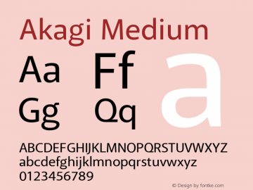 Akagi Medium Version 1.000 2008 initial release Font Sample