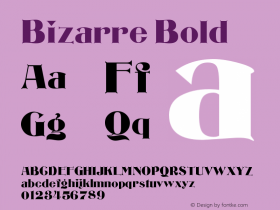 Bizarre Bold Version 1.000;PS 001.000;hotconv 1.0.38 Font Sample